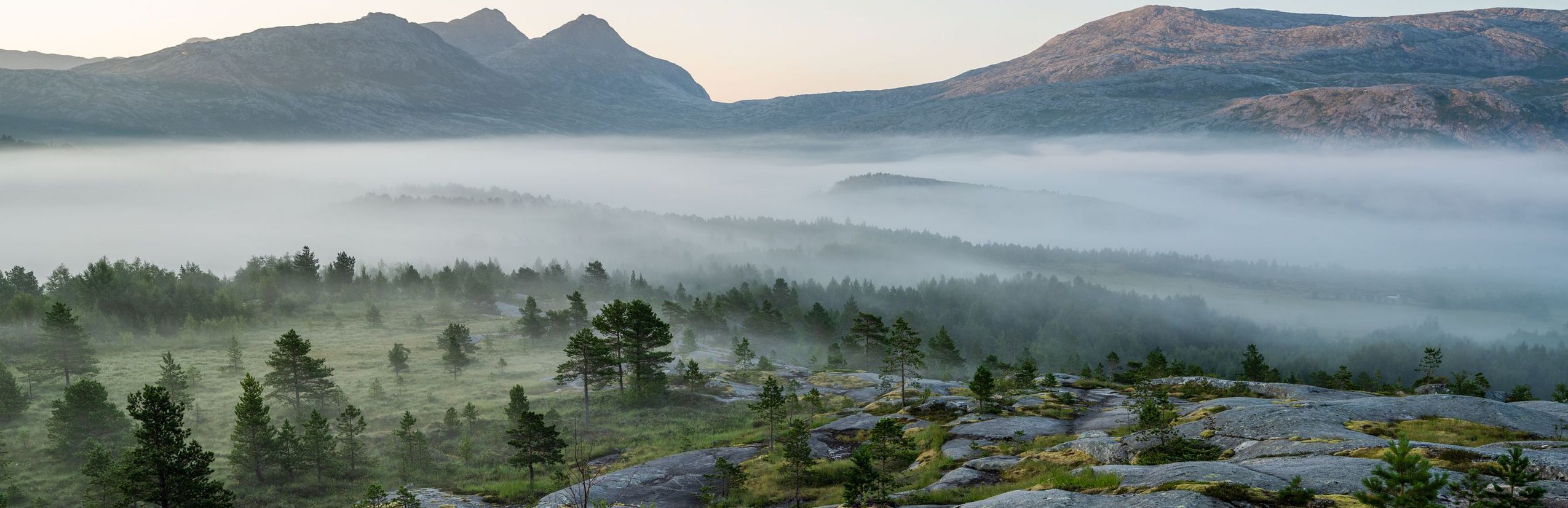 Wald-Berglandschaft in Norwegen