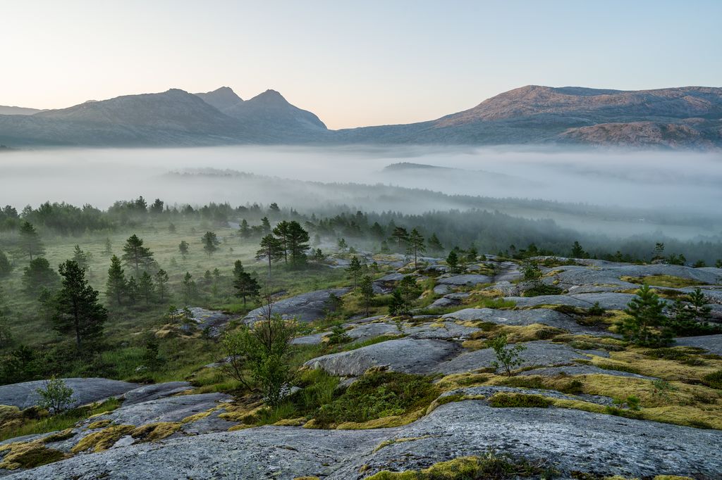 Wald-Berglandschaft in Norwegen