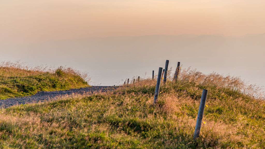 Weg und Wiesen auf dem Belchen im Schwarzwald