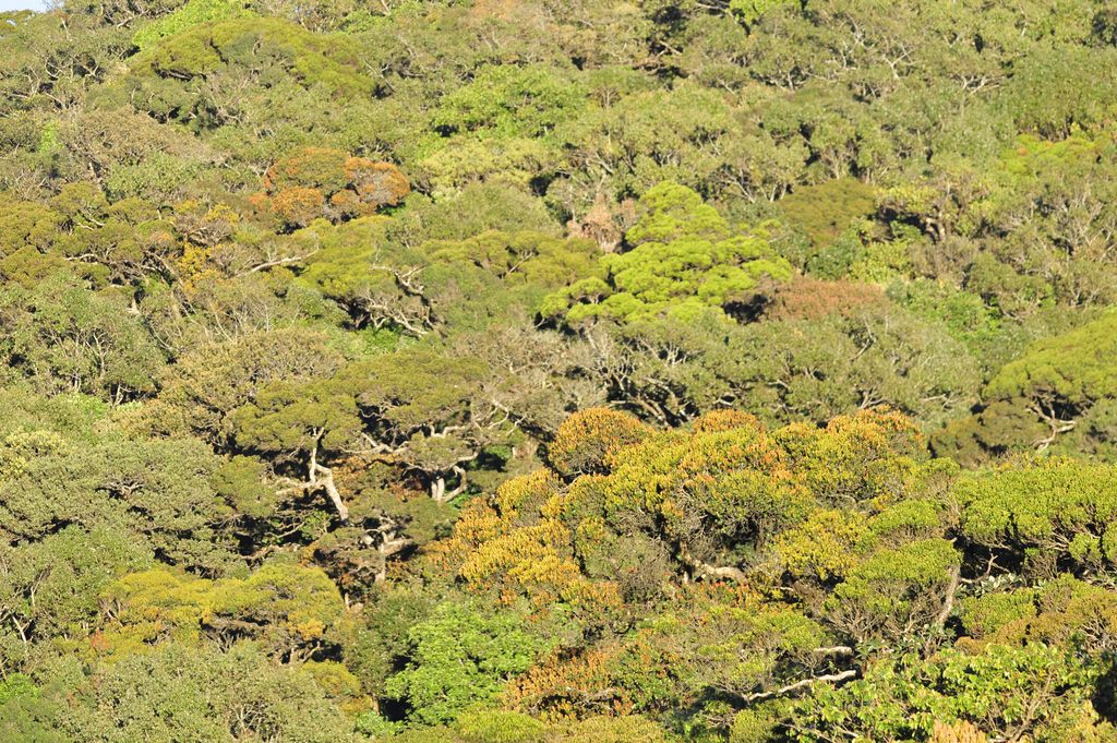 Sri Lanka Landschaft Krishna Karki