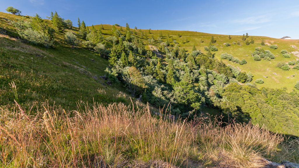 Berglandschaft Schwarzwald