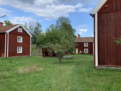 Vögel in Schweden