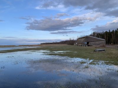 Vögel in Schweden