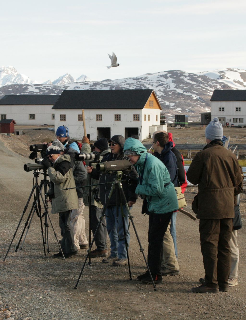 birdingtours Reisegruppe Rainer Stoll