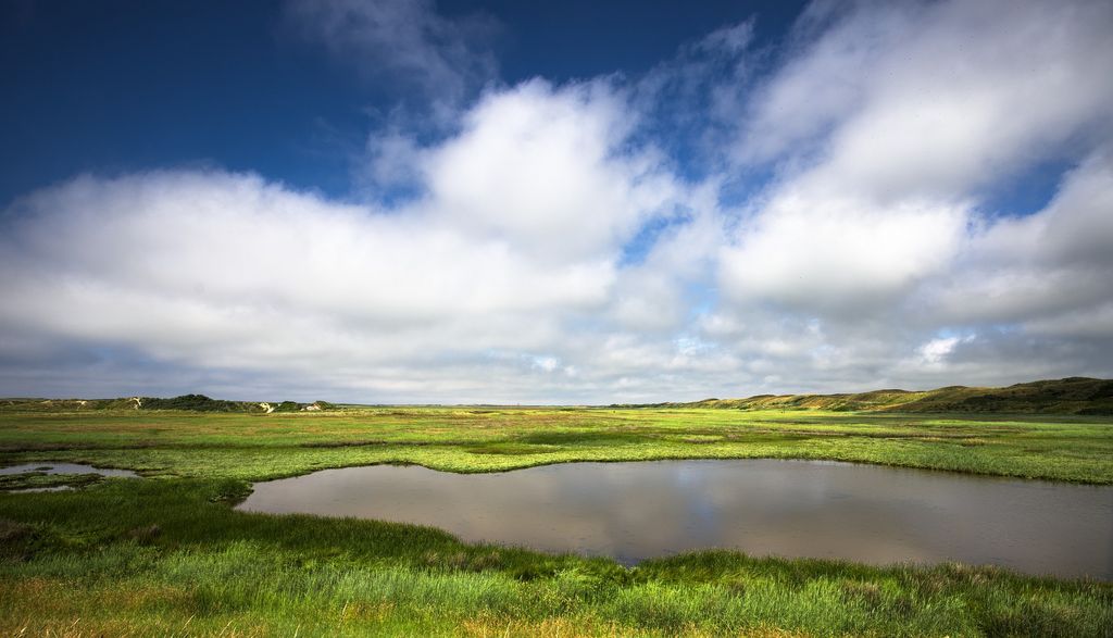 De Slufter Lagune in den Dünen Texel Frühjahr pixabay.de