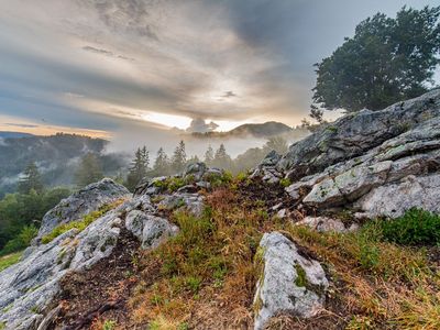 Nebelstimmung im Schwarzwald