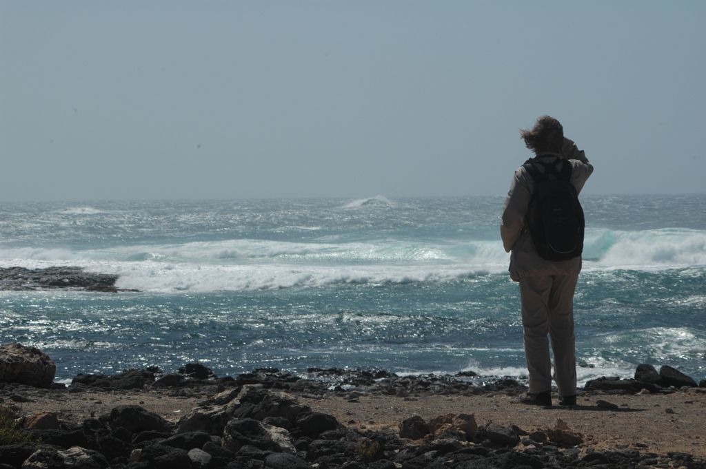 Fuerteventura, 2008-04, Thomas Griesohn-Pflieger
