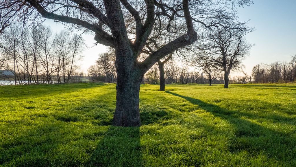 Düsseldorf (S. Schröder-Esch)