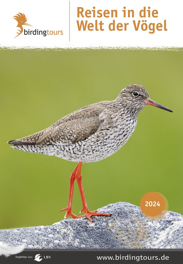 Vogelbeobachtung mit Genuss