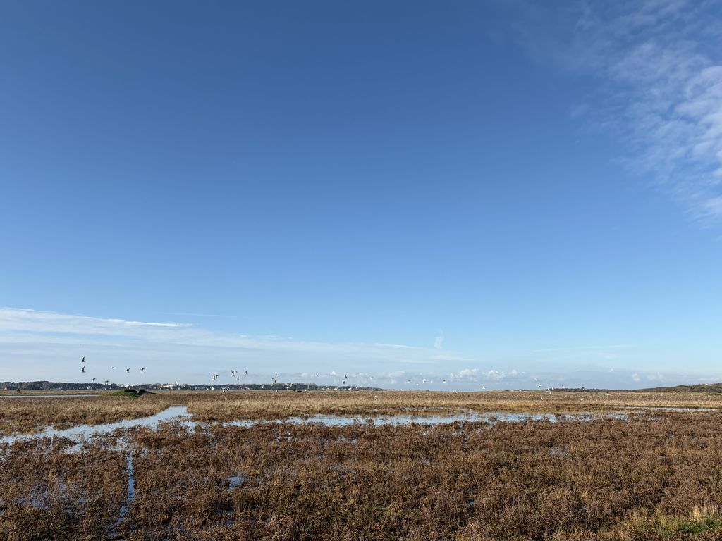 Somme Frankreich (Luc De Brabant)